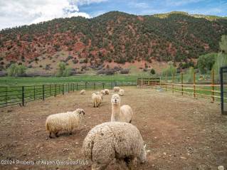 964 Lower River Road  Snowmass, CO 81654