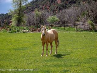 964 Lower River Road  Snowmass, CO 81654