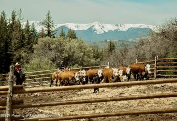 1150 Capitol Creek Road  Snowmass, CO 81654