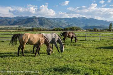 1321 Elk Creek  Tbd Capitol Creek Road  Snowmass, CO 81654